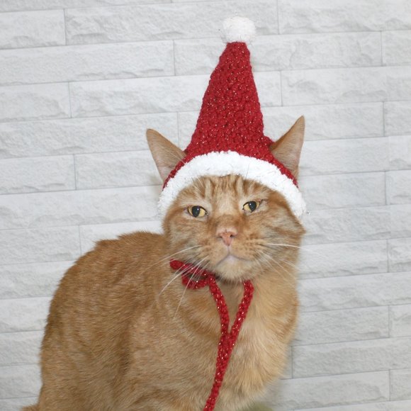HAND CRAFTED Crochet Santa Cat Pet Hat Costume Photo Prop Christmas Holiday - Picture 1 of 11